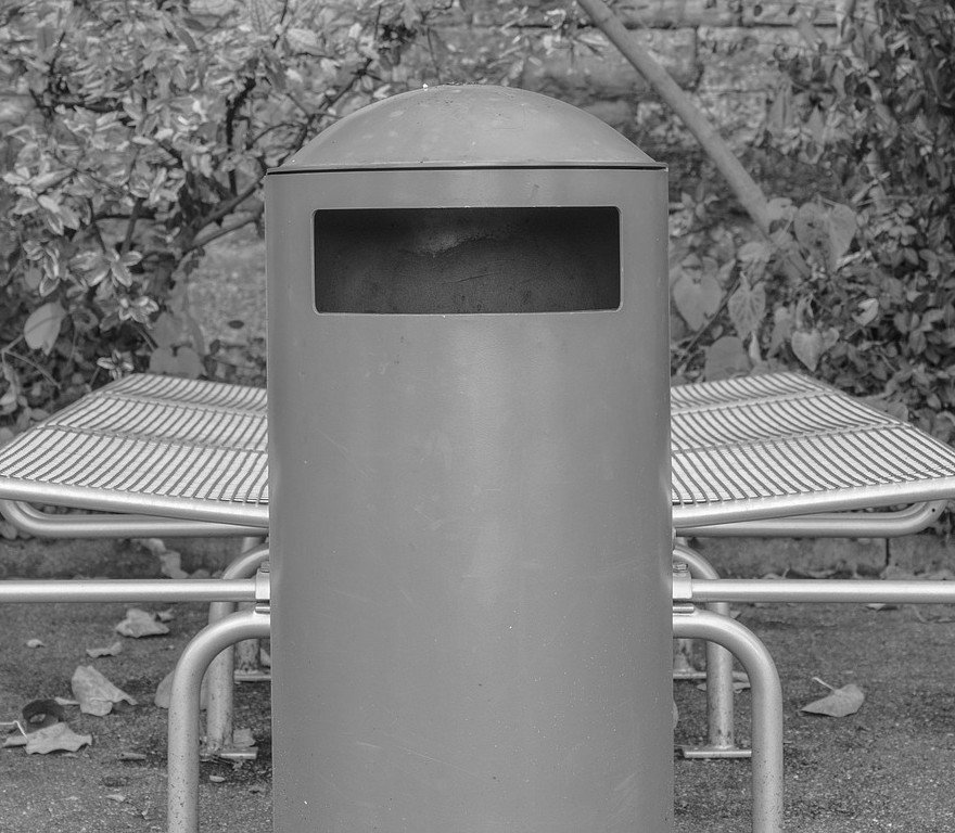 garage can cleaned in dallas, tx